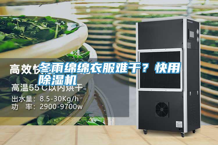 冬雨綿綿衣服難干？快用除濕機
