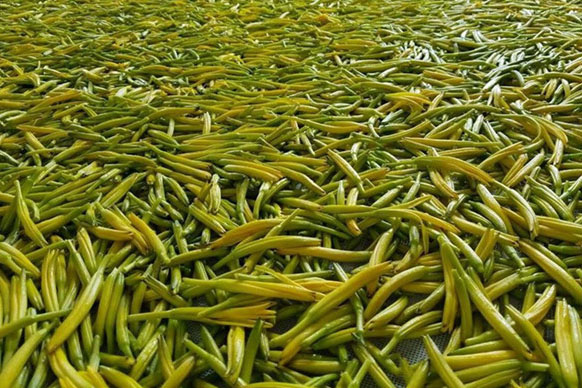 無硫金針菜烘干如何保持品相？不發黑？_除濕機廠家