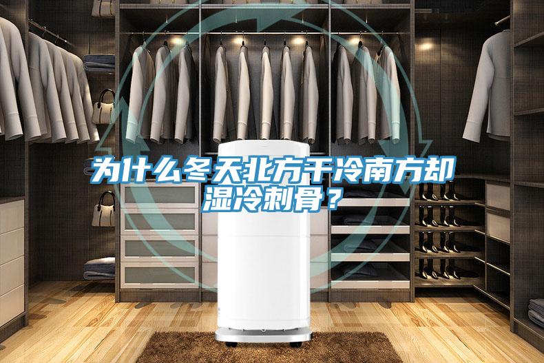 為什么冬天北方干冷南方卻濕冷刺骨？