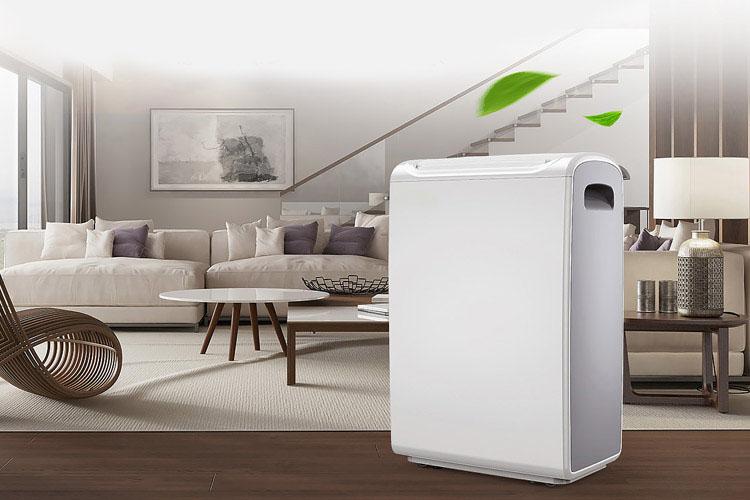 去除室內濕氣，除濕機更好