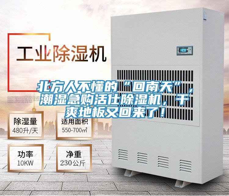 北方人不懂的“回南天”，潮濕急購活仕除濕機，干爽地板又回來了！