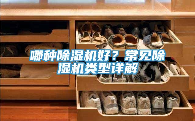 哪種除濕機好?常見除濕機類型詳解