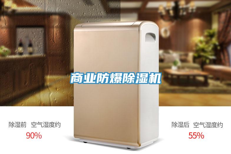 商業(yè)防爆除濕機(jī)