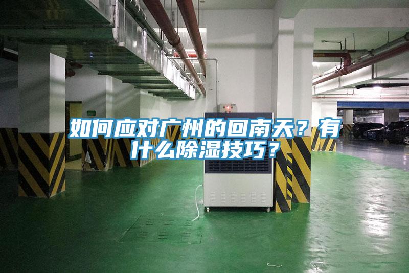 如何應(yīng)對(duì)廣州的回南天？有什么除濕技巧？