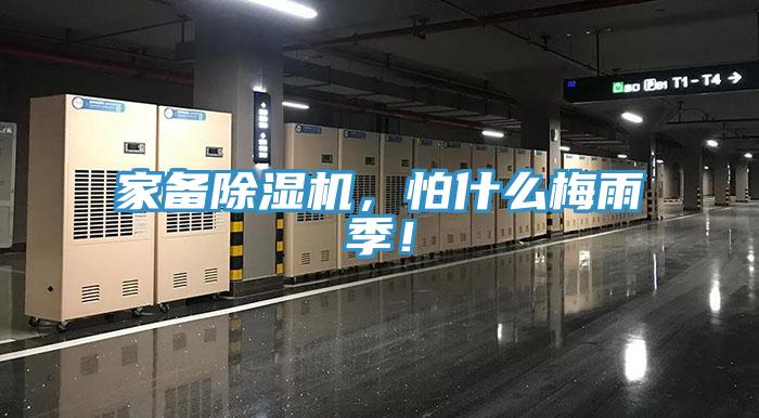 家備除濕機,怕什么梅雨季!