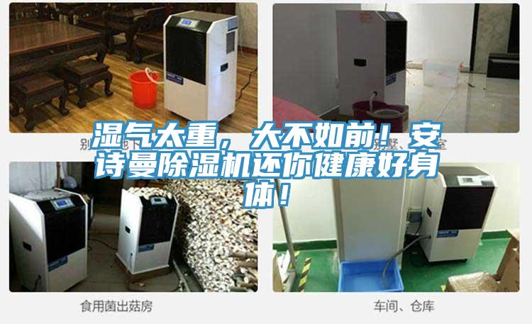 濕氣太重，大不如前！安詩(shī)曼除濕機(jī)還你健康好身體！