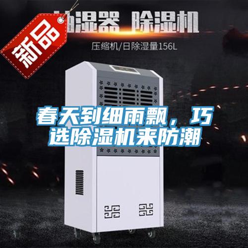 春天到細雨飄，巧選除濕機來防潮
