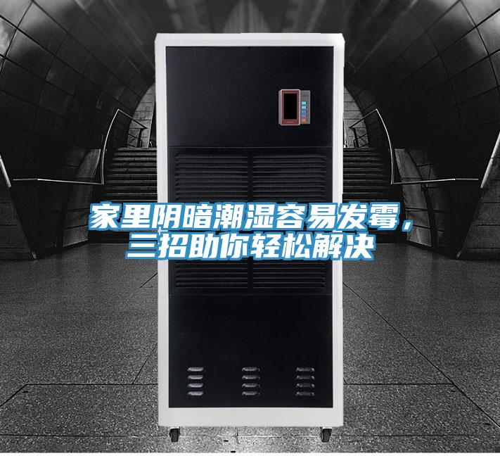 家里陰暗潮濕容易發(fā)霉,三招助你輕松解決