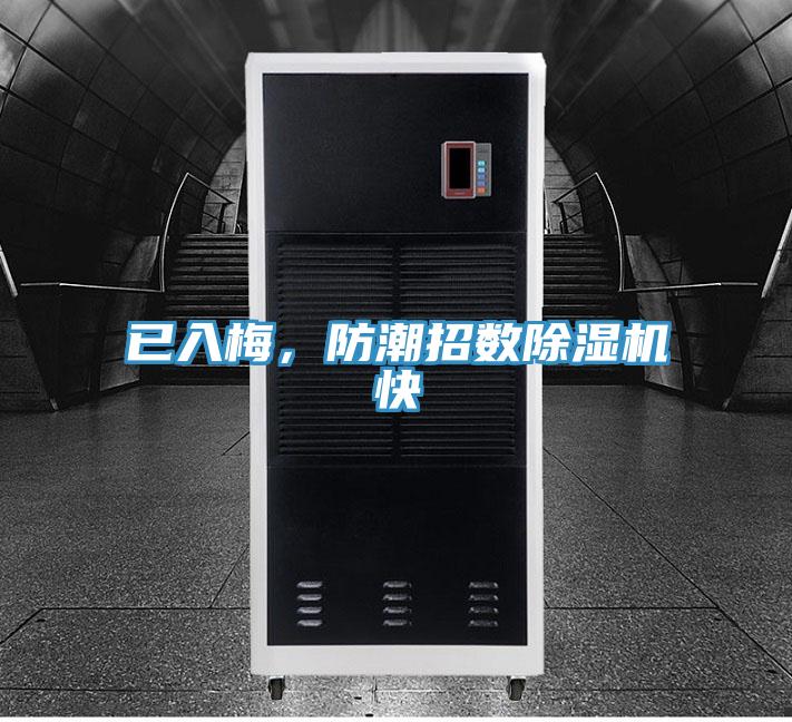 已入梅,防潮招數除濕機快
