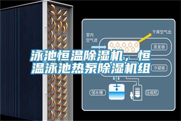 泳池恒溫除濕機(jī),恒溫泳池?zé)岜贸凉駲C(jī)組