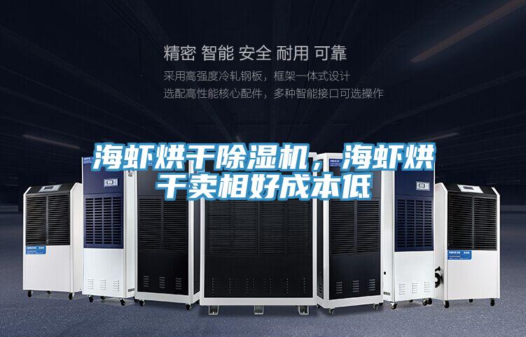 海蝦烘干除濕機，海蝦烘干賣相好成本低