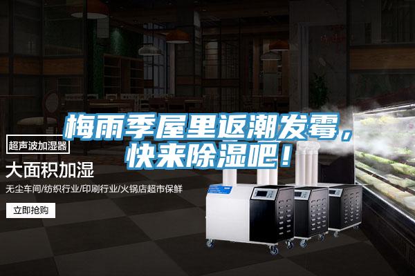 梅雨季屋里返潮發霉，快來除濕吧！