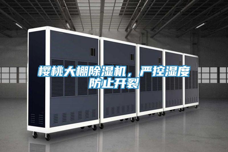 櫻桃大棚除濕機(jī),嚴(yán)控濕度防止開裂