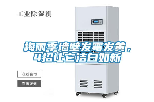 梅雨季墻壁發霉發黃，4招讓它潔白如新