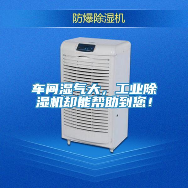 車(chē)間濕氣大，工業(yè)除濕機(jī)卻能幫助到您！