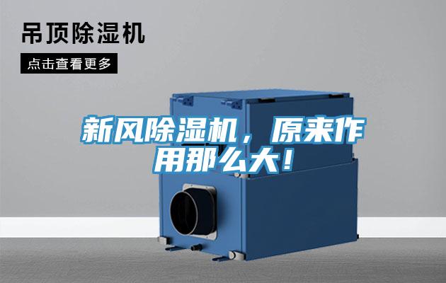 新風(fēng)除濕機(jī),原來(lái)作用那么大!