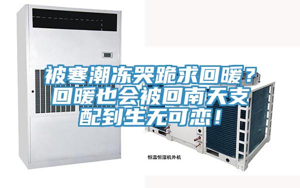 被寒潮凍哭跪求回暖？回暖也會被回南天支配到生無可戀！