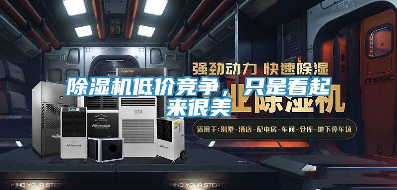 除濕機低價競爭，只是看起來很美