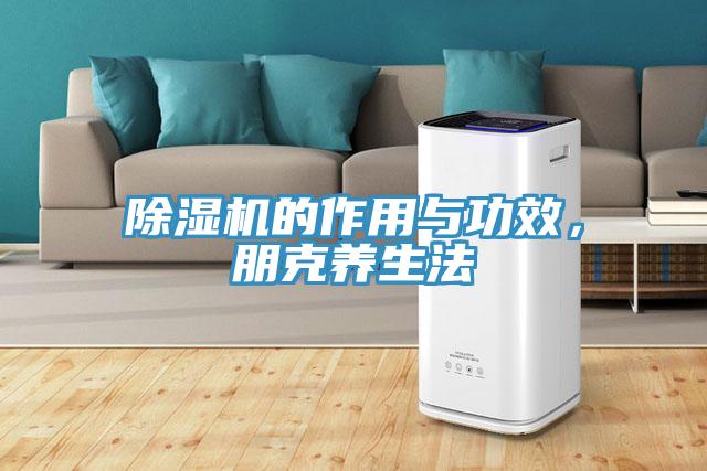 除濕機的作用與功效,朋克養生法