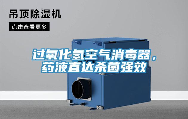 過氧化氫空氣消毒器,藥液直達殺菌強效