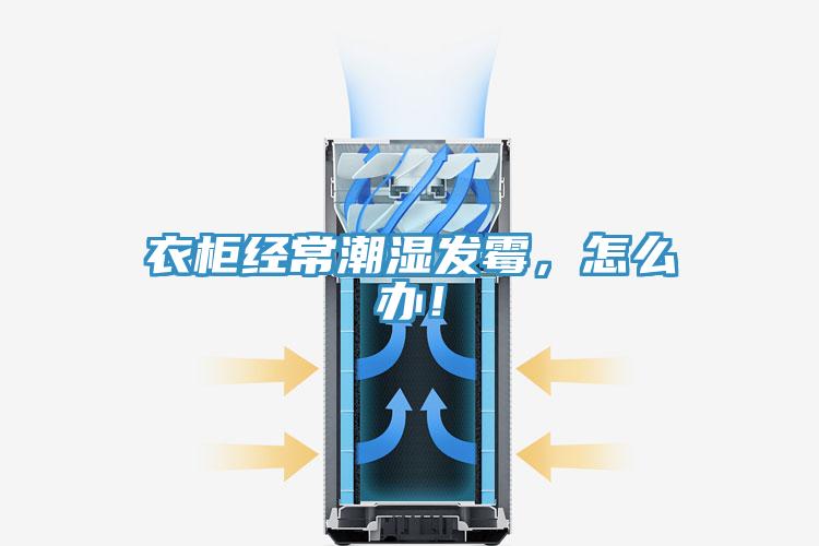 衣柜經常潮濕發(fā)霉，怎么辦！