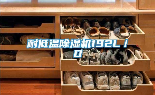 耐低溫除濕機(jī)192L/D