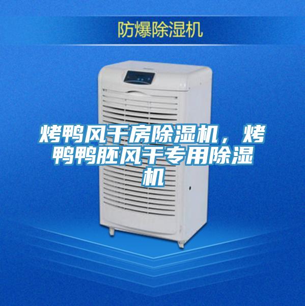 烤鴨風干房除濕機，烤鴨鴨胚風干專用除濕機