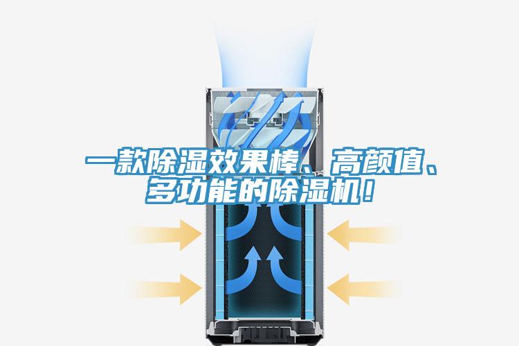 一款除濕效果棒、高顏值、多功能的除濕機!