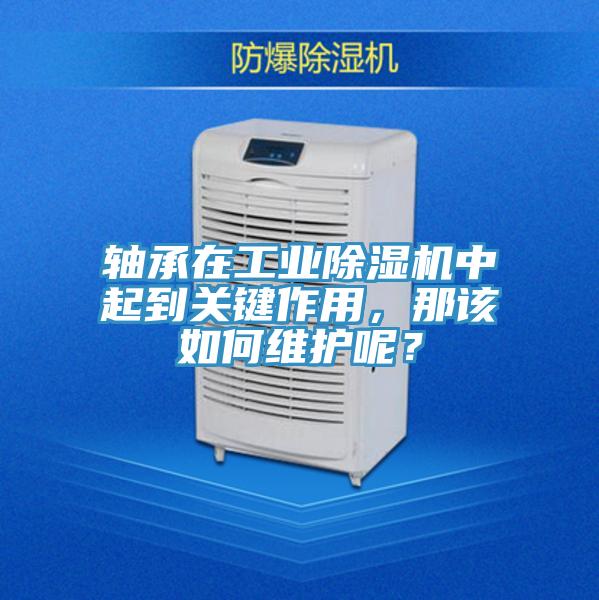 軸承在工業除濕機中起到關鍵作用，那該如何維護呢？