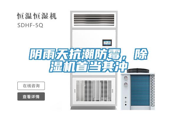陰雨天抗潮防霉，除濕機首當(dāng)其沖