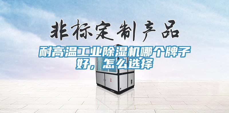 耐高溫工業除濕機哪個牌子好，怎么選擇