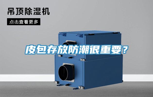 皮包存放防潮很重要？