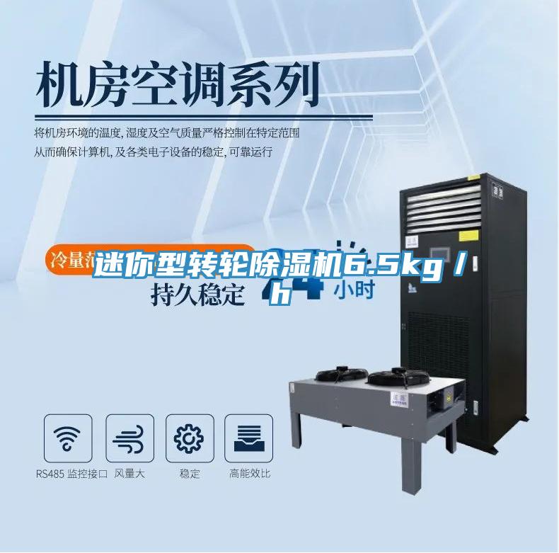 迷你型轉(zhuǎn)輪除濕機(jī)6.5kg/h