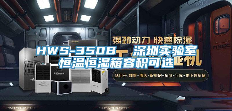 HWS-350B 深圳實驗室恒溫恒濕箱容積可選