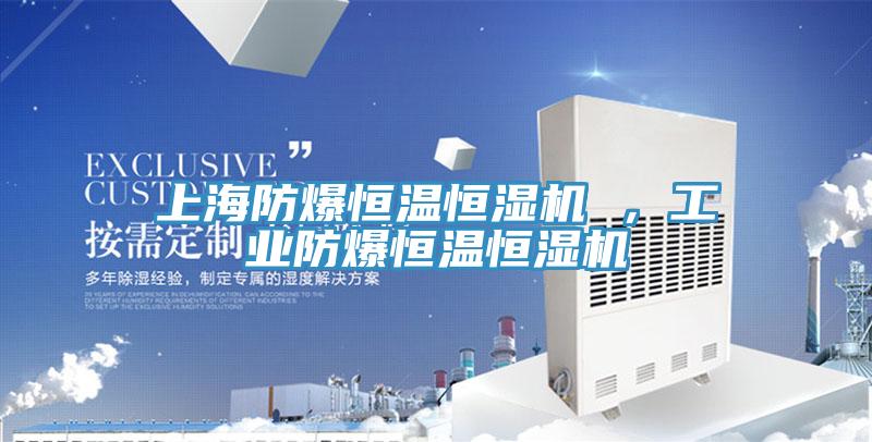 上海防爆恒溫恒濕機 ，工業防爆恒溫恒濕機