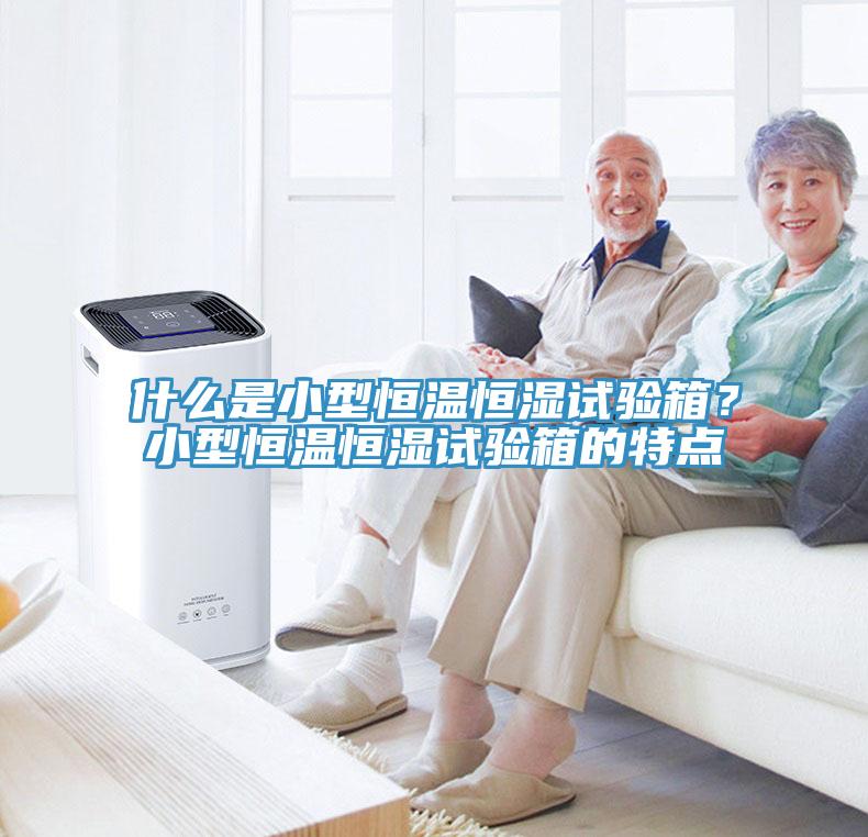 什么是小型恒溫恒濕試驗箱?小型恒溫恒濕試驗箱的特點