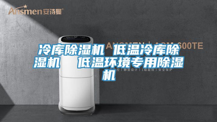 冷庫除濕機 低溫冷庫除濕機 低溫環境專用除濕機