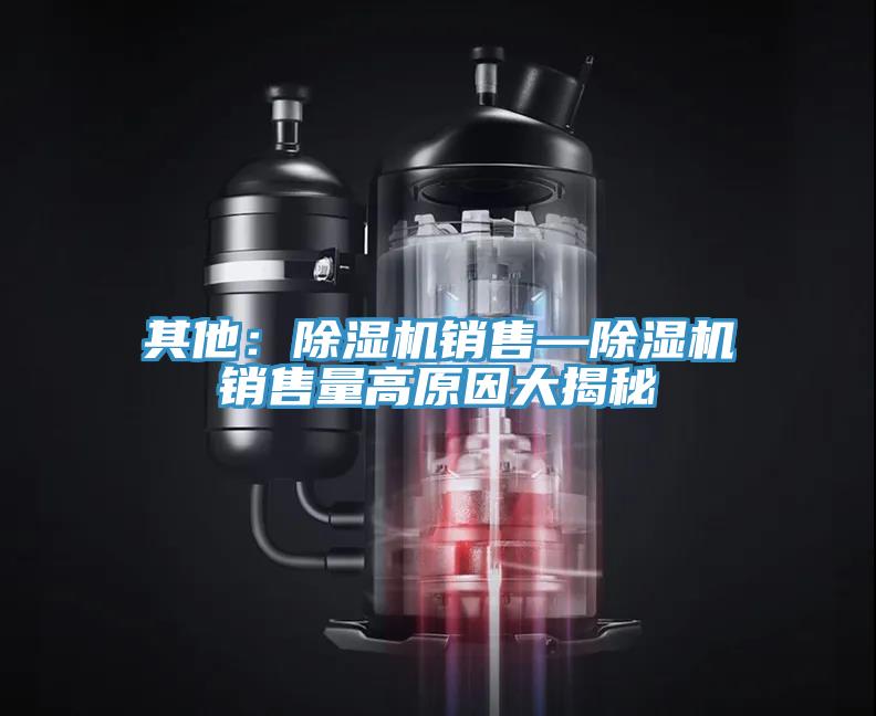 其他:除濕機(jī)銷售—除濕機(jī)銷售量高原因大揭秘