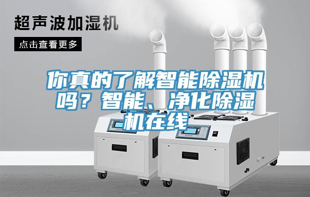 你真的了解智能除濕機嗎?智能、凈化除濕機在線