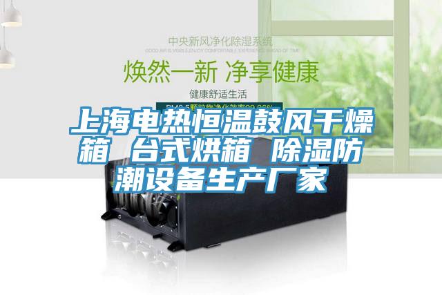 上海電熱恒溫鼓風干燥箱 臺式烘箱 除濕防潮設備生產(chǎn)廠家