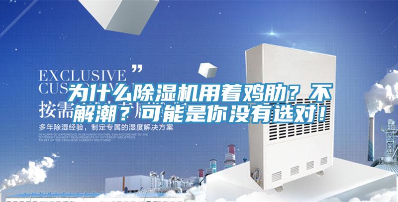 為什么除濕機用著雞肋?不解潮?可能是你沒有選對!