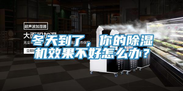 冬天到了,你的除濕機效果不好怎么辦?