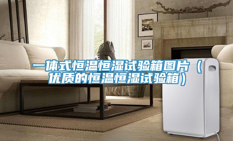 一體式恒溫恒濕試驗箱圖片(優質的恒溫恒濕試驗箱)