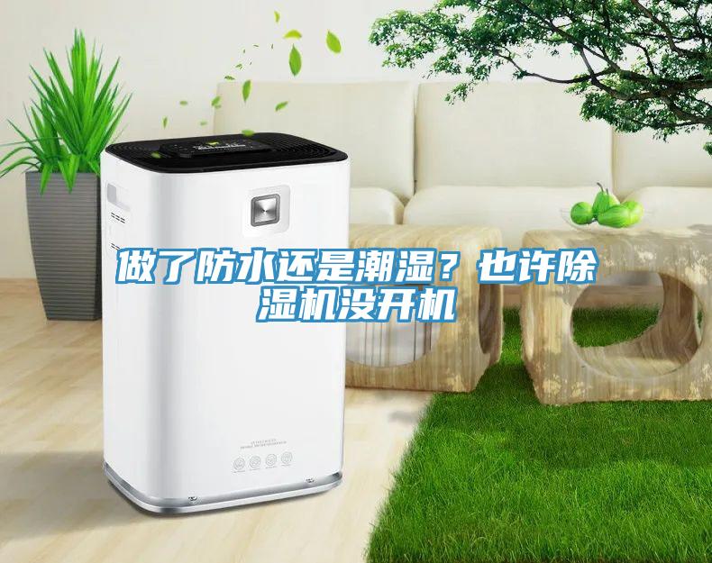 做了防水還是潮濕?也許除濕機沒開機