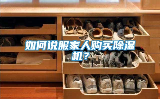 如何說(shuō)服家人購(gòu)買除濕機(jī)?
