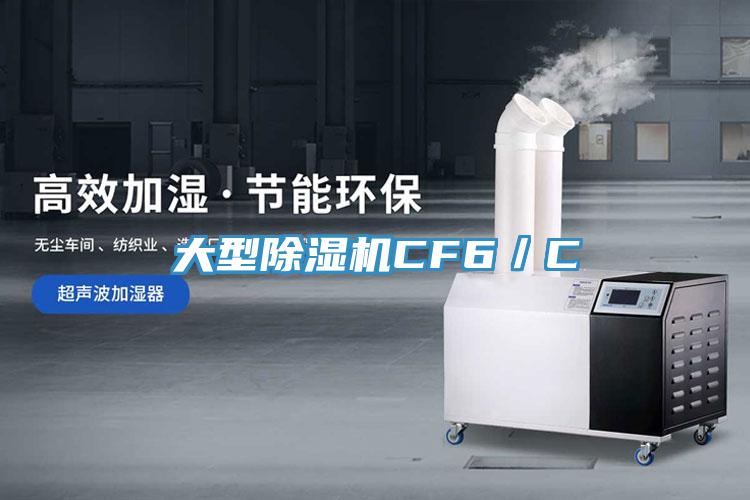 大型除濕機CF6/C