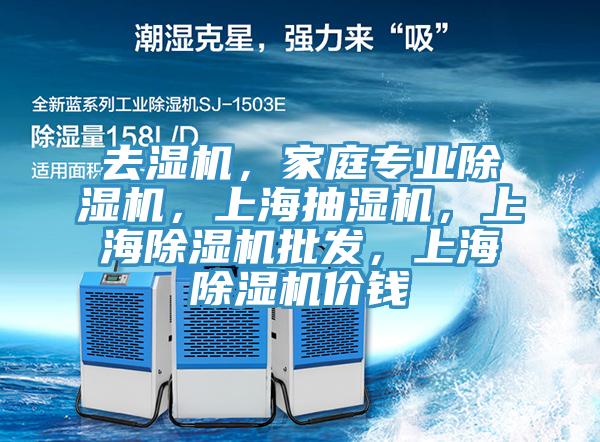 去濕機,家庭專業除濕機,上海抽濕機,上海除濕機批發,上海除濕機價錢