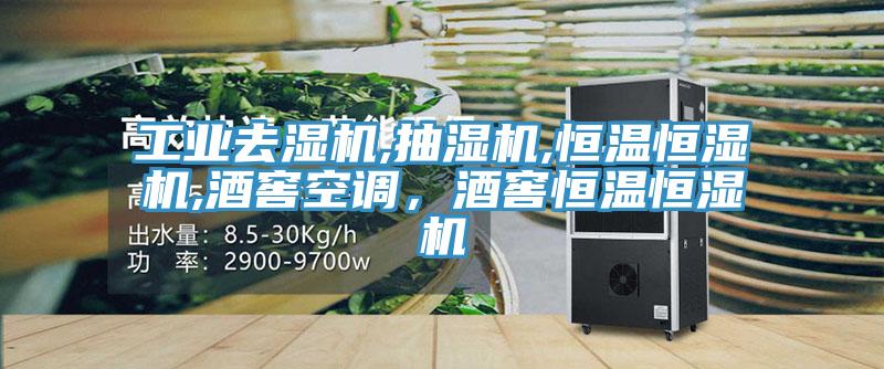 工業去濕機,抽濕機,恒溫恒濕機,酒窖空調，酒窖恒溫恒濕機