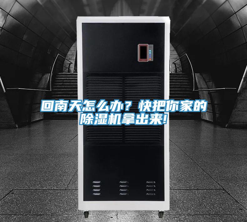 回南天怎么辦?快把你家的除濕機拿出來!