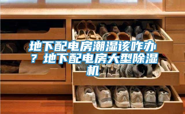 地下配電房潮濕該咋辦?地下配電房大型除濕機